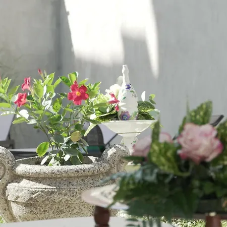 Oda ve Kahvaltı Palazzo Ricardi D'hotes Imperia